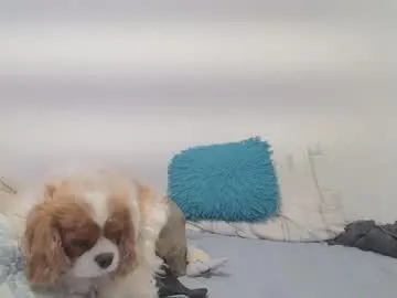 angel_face_devil_mind – webcam model profile photo Image 12