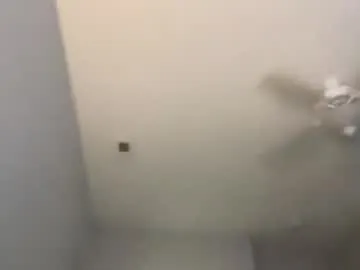 my_dolls – webcam model profile photo Image 8