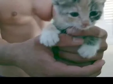 wet_dreamm22 – webcam model profile photo Image 9