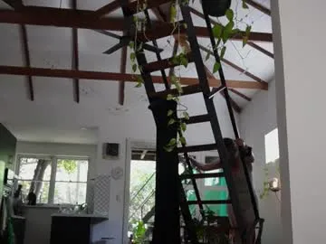 willacrago – webcam model profile photo Image 16