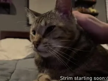 realtryit – webcam model profile photo Image 11