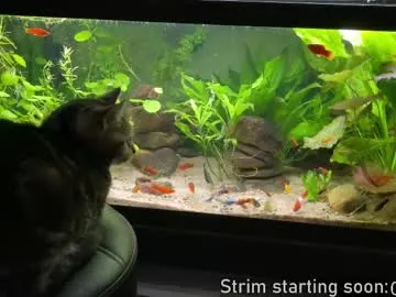 realtryit – webcam model profile photo Image 14