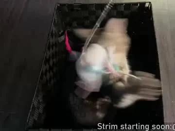 realtryit – webcam model profile photo Image 3