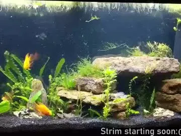 realtryit – webcam model profile photo Image 5