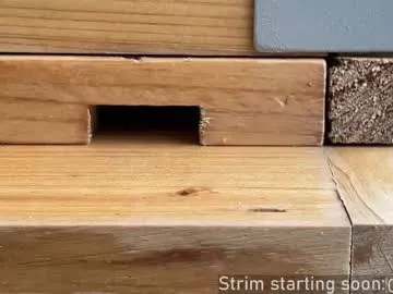 realtryit – webcam model profile photo Image 7