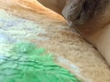 realtryit – webcam model profile photo Image 13