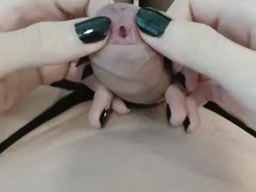 heaven_gall_ – webcam model profile photo Image 5