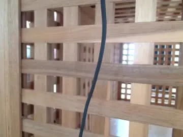 wet_dreamm22 – webcam model profile photo Image 6