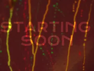 loving_ladies – webcam model profile photo Image 15