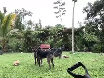 realtryit – webcam model profile photo Image 14