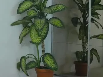 alexxiskye – webcam model profile photo Image 2