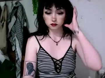 splendid_dolls – webcam model profile photo Image 4