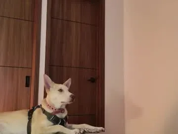 petites_perles – webcam model profile photo Image 14