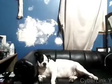 anabel054 – webcam model profile photo Image 4