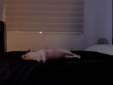 realtryit – webcam model profile photo Image 14