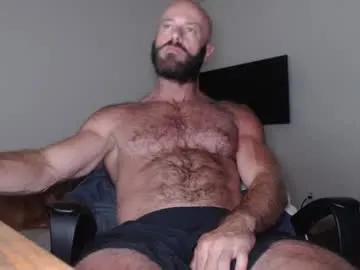 splendid_dolls – webcam model profile photo Image 8