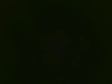 angelsofaurora – webcam model profile photo Image 6