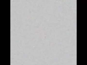 tassiarauj – webcam model profile photo Image 6