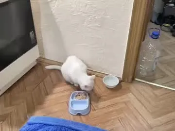 mia_angeel_ – webcam model profile photo Image 16