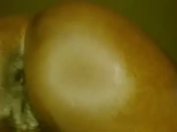 sicklitgirl – webcam model profile photo Image 3