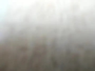 kittypurr79 – webcam model profile photo Image 17