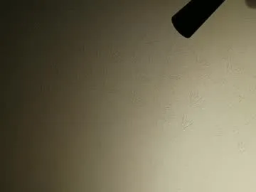 cammiila – webcam model profile photo Image 11