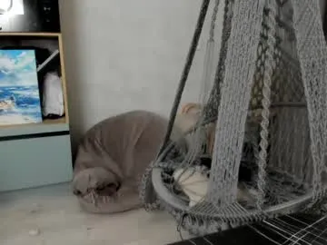 angelsofaurora – webcam model profile photo Image 2